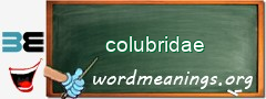 WordMeaning blackboard for colubridae